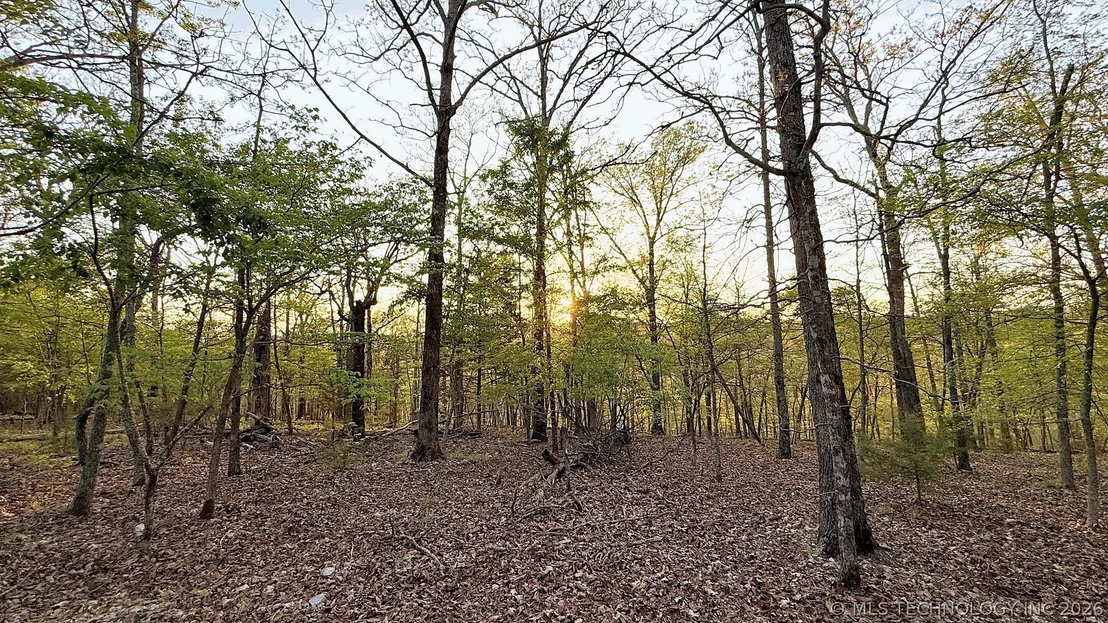 Photo of 2345 Overlook Drive