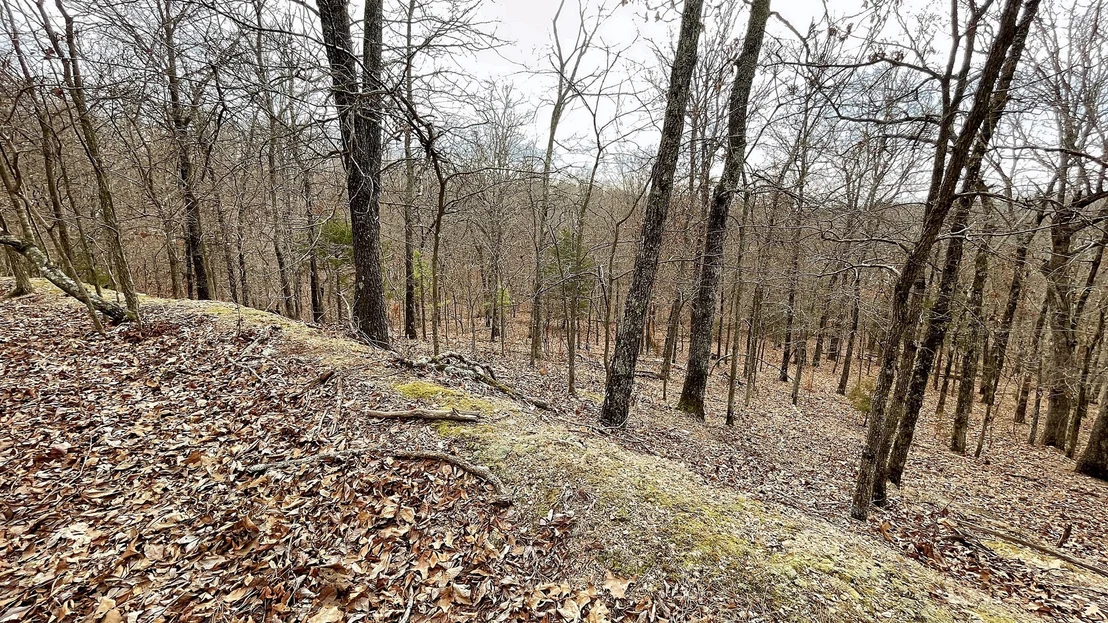 Photo of 288 Crossroads Drive