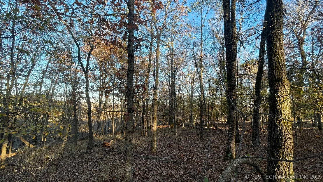 Photo of 1471 Birchbark Drive