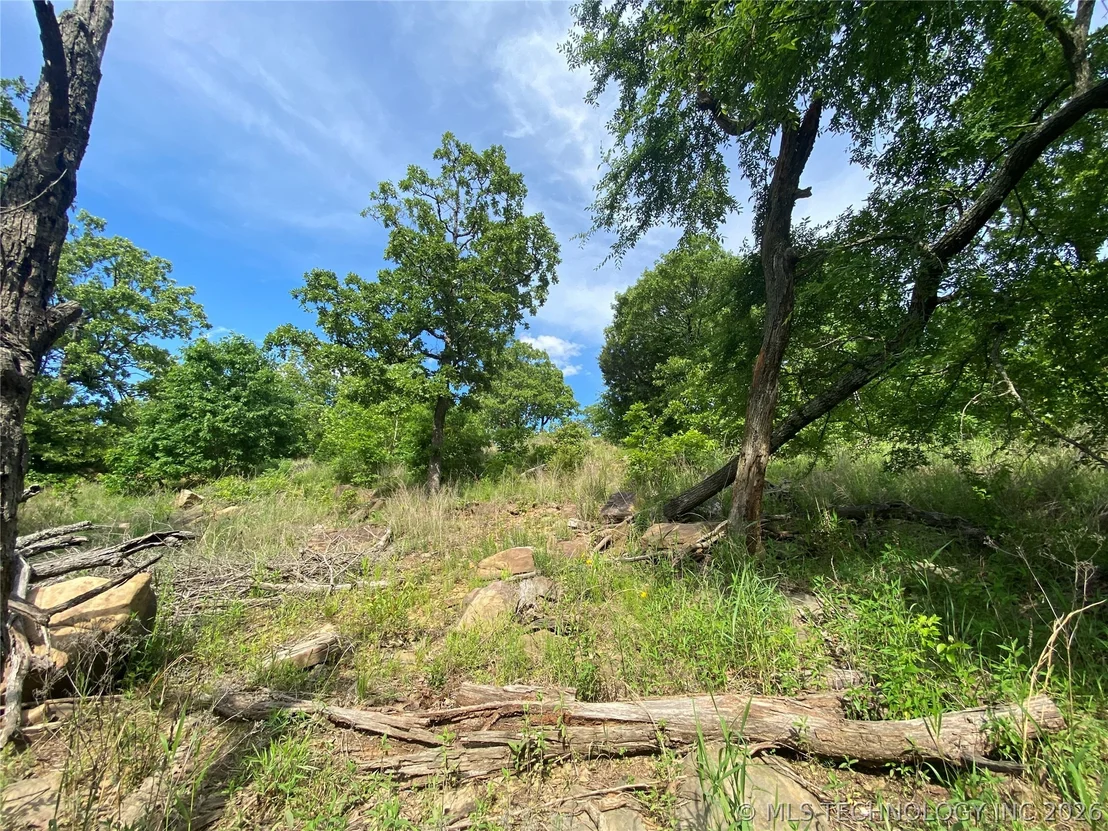 Photo of 12 Cherokee Hills