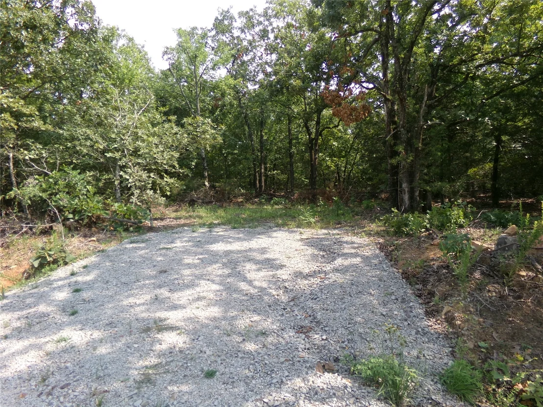 Photo of Bus Loop Road
