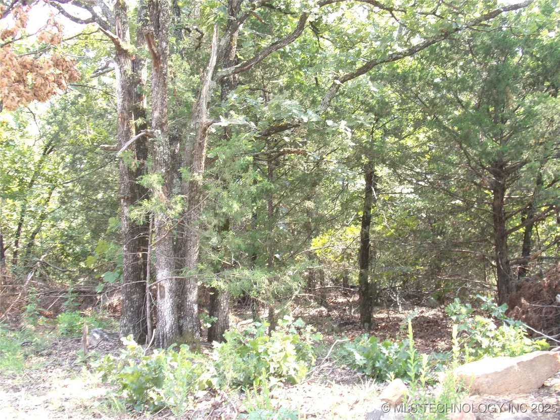 Photo of Bus Loop Road