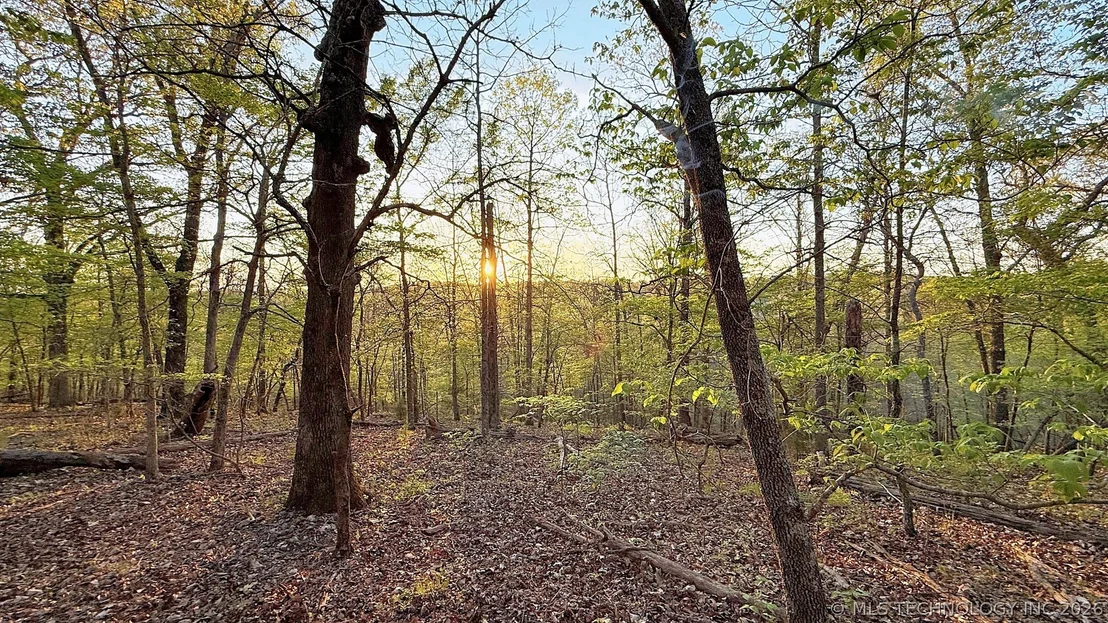 Photo of 2345 Overlook Drive