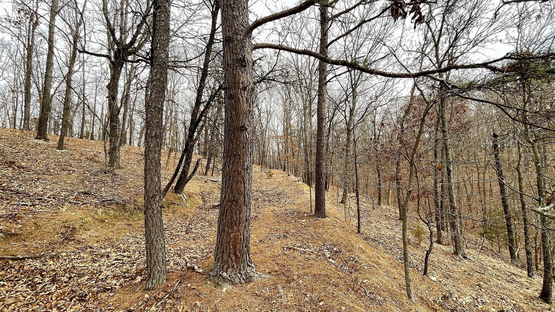 Photo of 288 Crossroads Drive