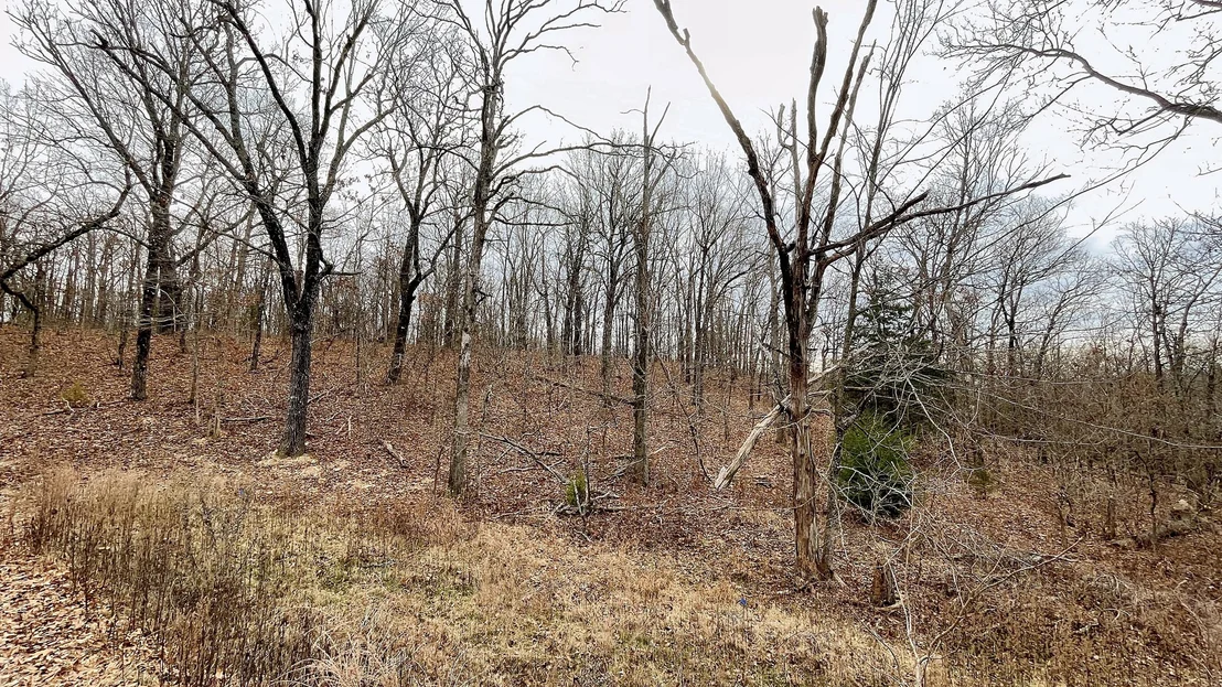 Photo of 288 Crossroads Drive