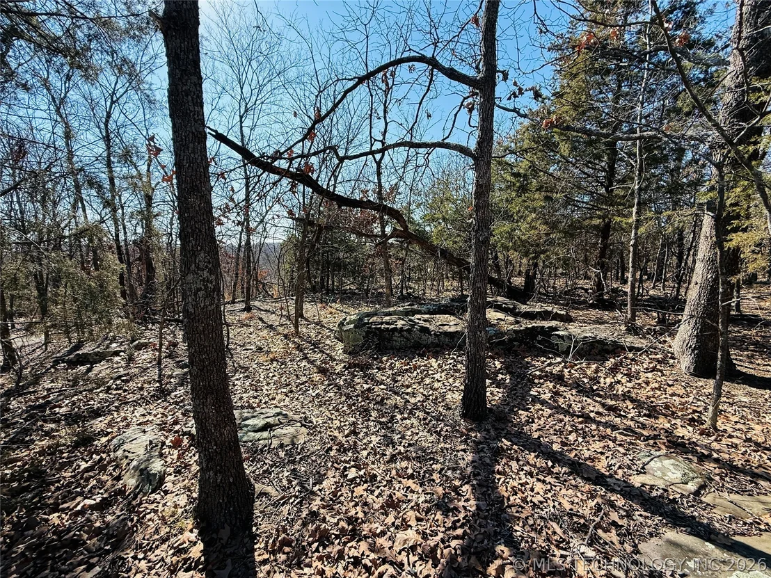 Photo of Mountain View