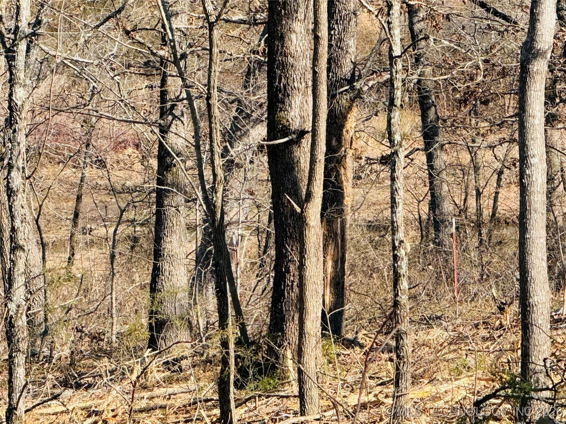 Photo of 0 Falcon Lane