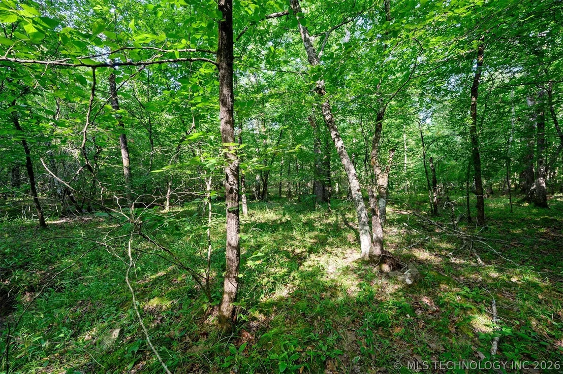 Photo of 66 Aged Acacia Trail