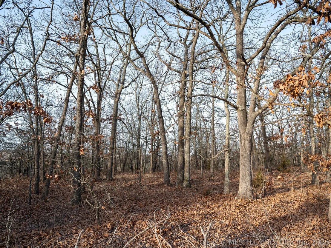 Photo of 235 County Road 2732