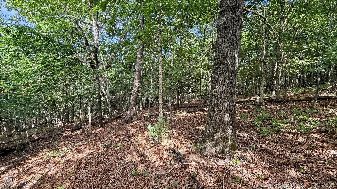Photo of 1235 Pheasant Run Road