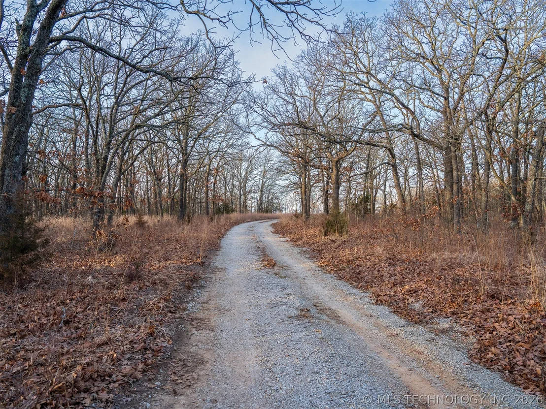Photo of 235 County Road 2732