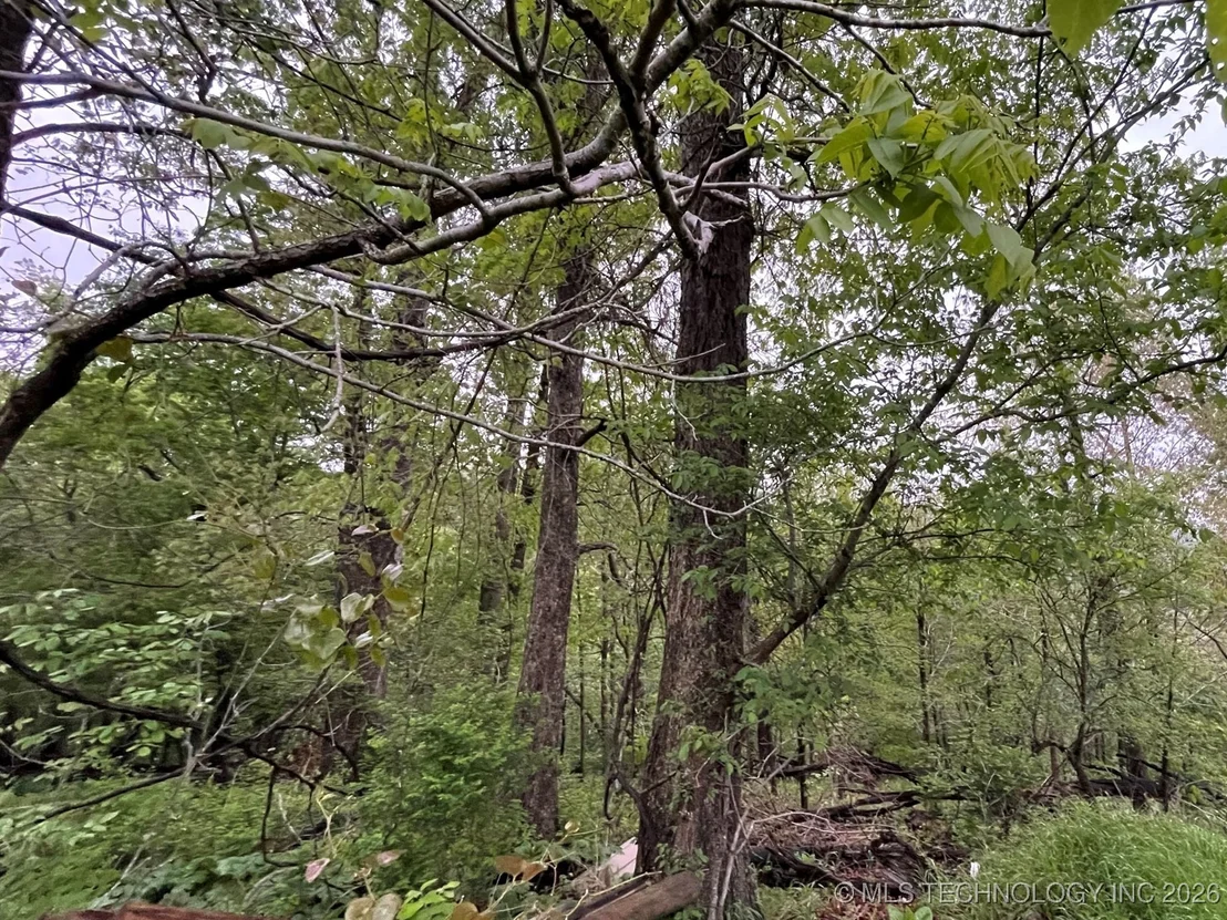 Photo of 1229 Pheasant Run Road