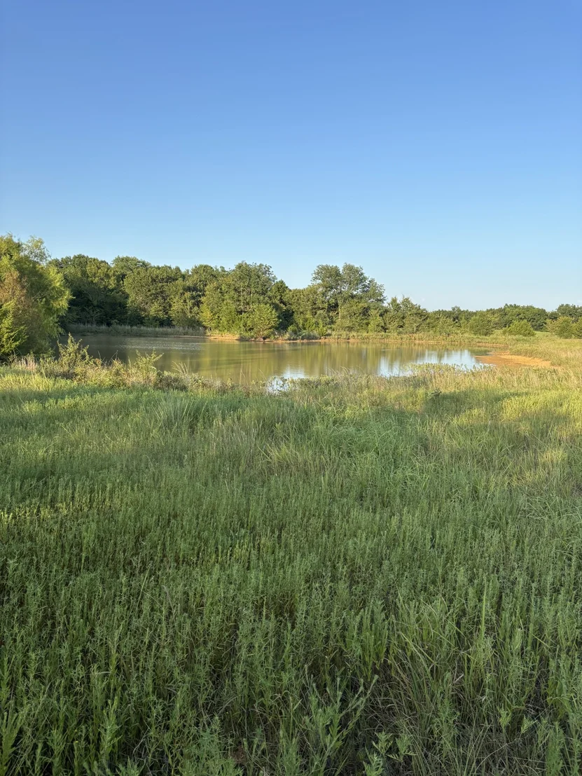 Photo of 28584 County Road 1580
