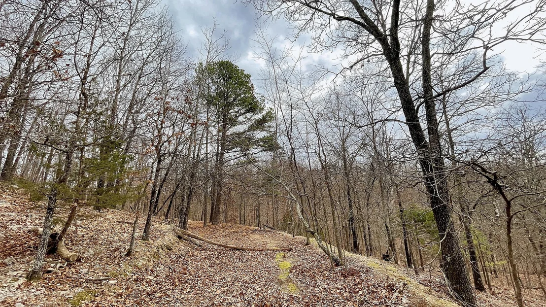 Photo of 288 Crossroads Drive