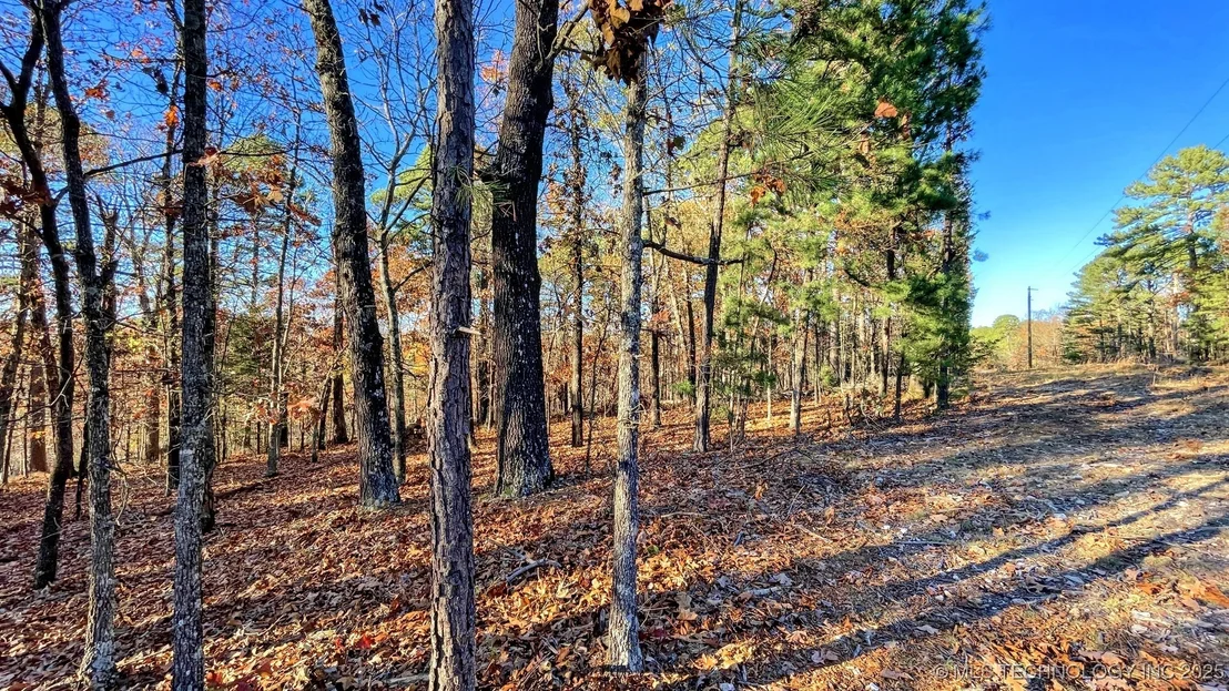 Photo of 14 Big Bear Road