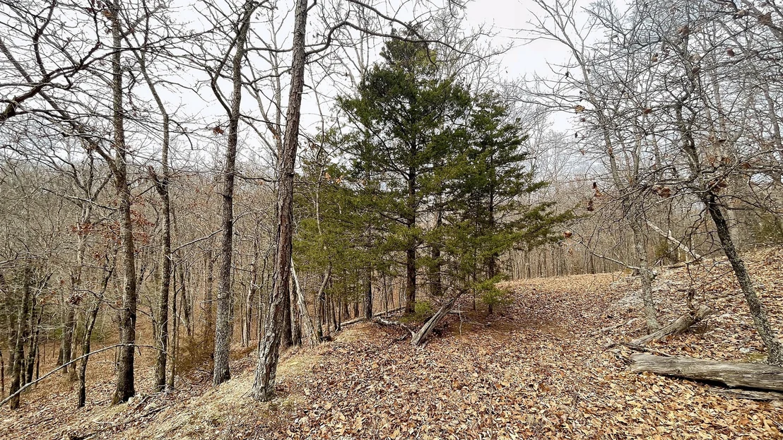 Photo of 288 Crossroads Drive
