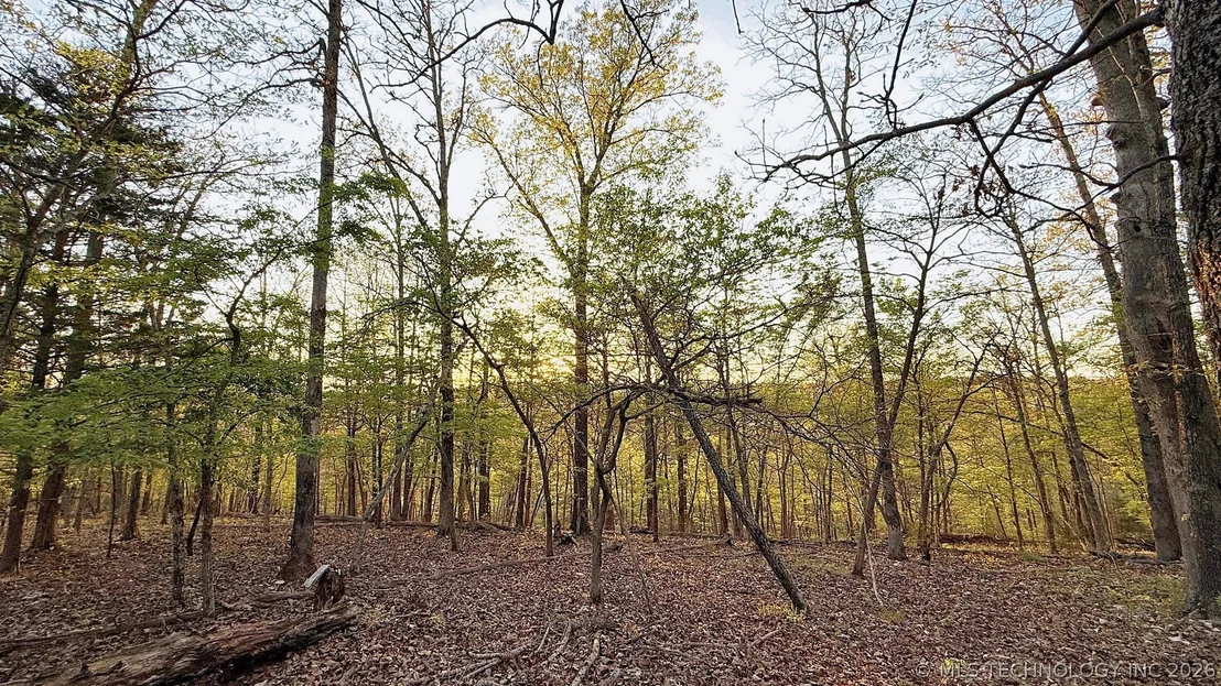 Photo of 2345 Overlook Drive
