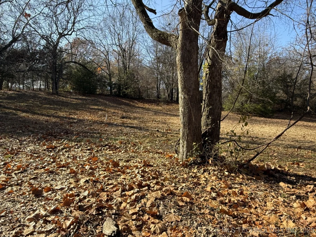 Photo of 1437 Nitzel Road