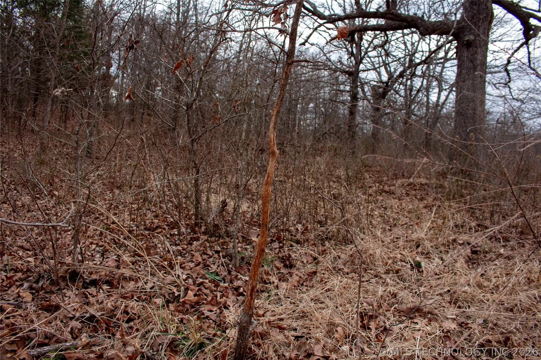 Photo of 28300 County Road 1590