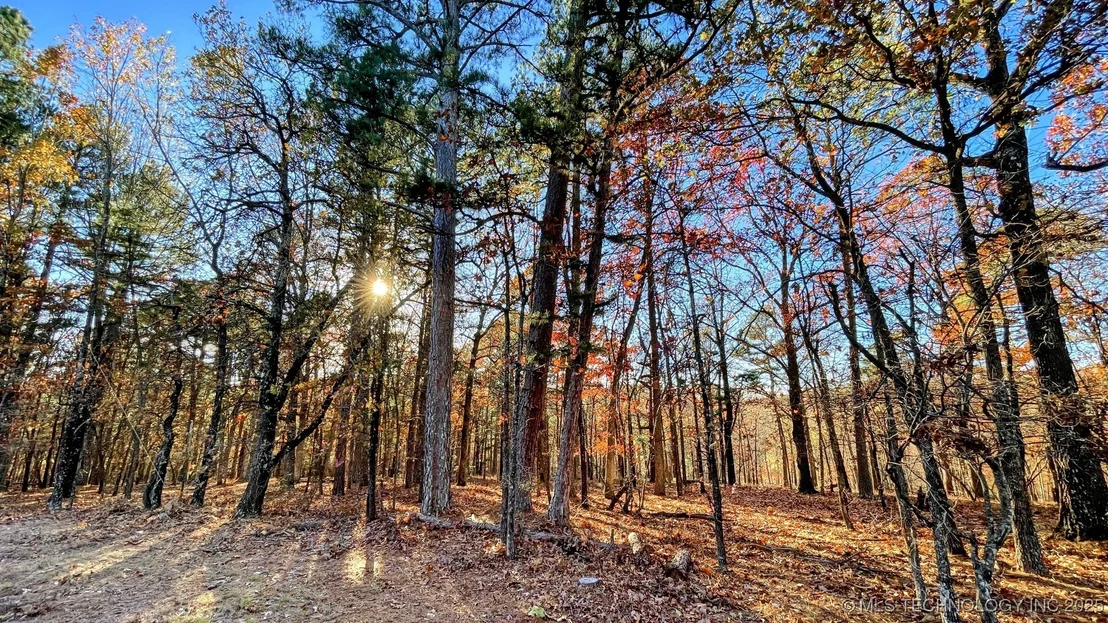 Photo of 14 Big Bear Road