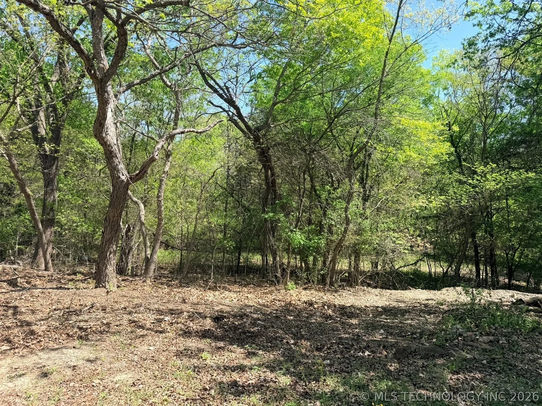 Photo of 280 Cedar Blue