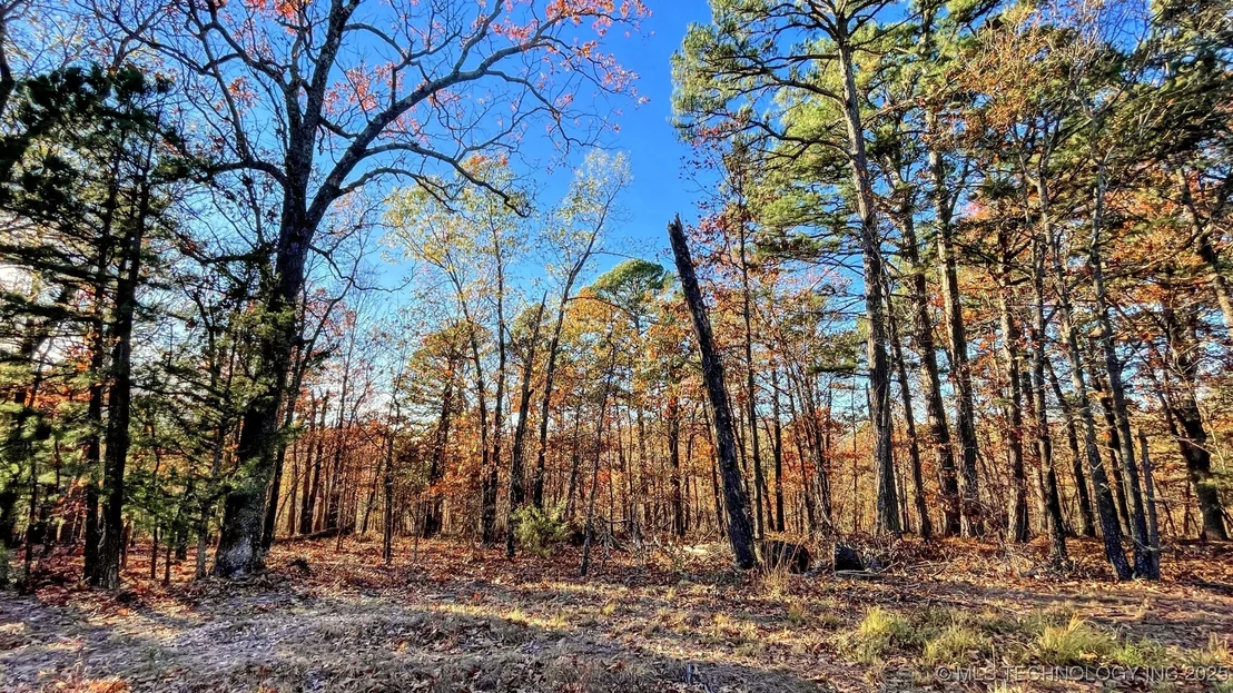 Photo of 14 Big Bear Road