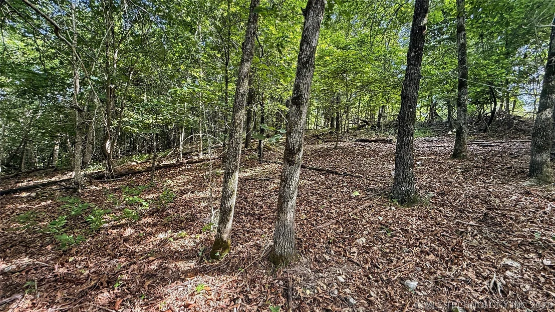 Photo of 1235 Pheasant Run Road