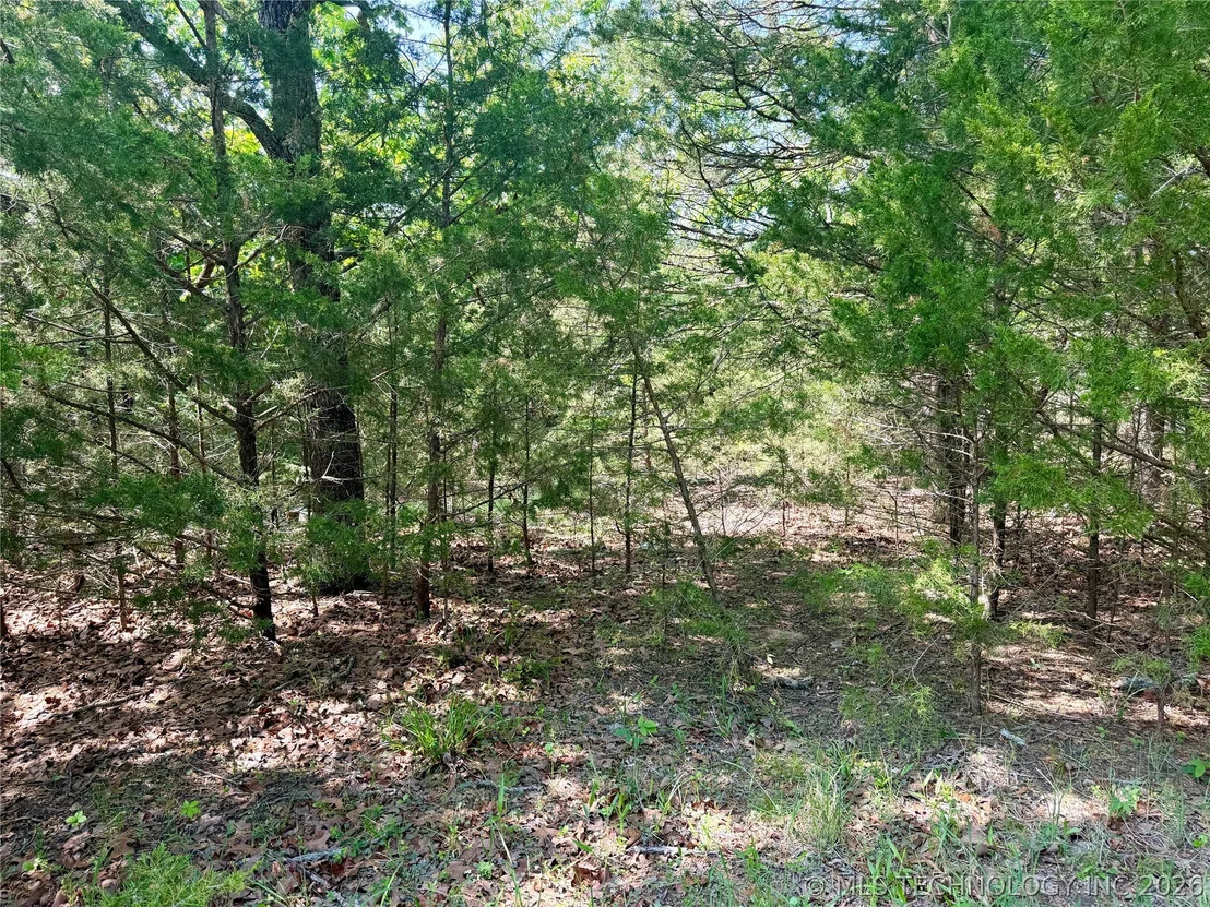 Photo of 17 Council Tree Drive