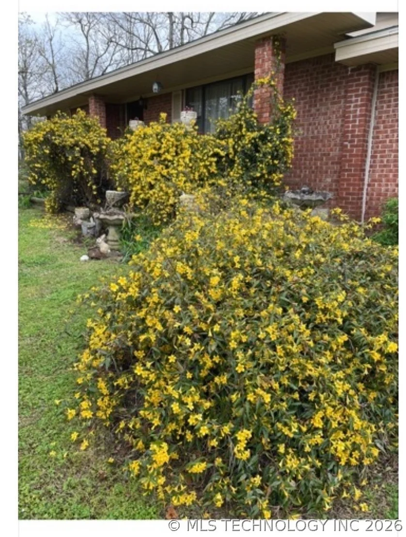 Photo of 105 W Mockingbird Lane