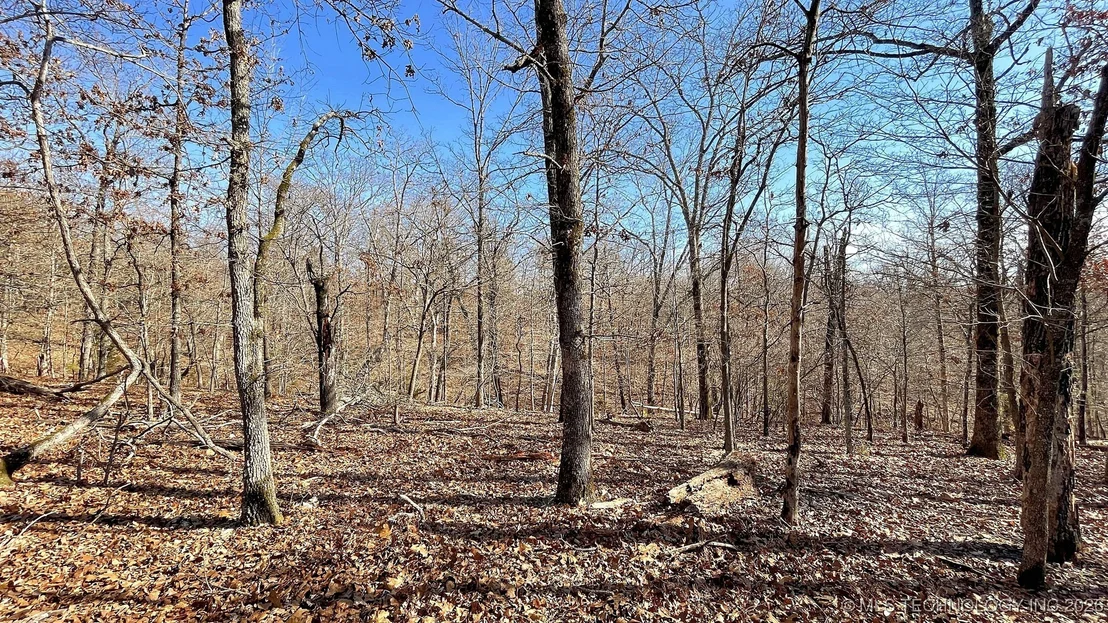 Photo of 2361 Overlook Trace