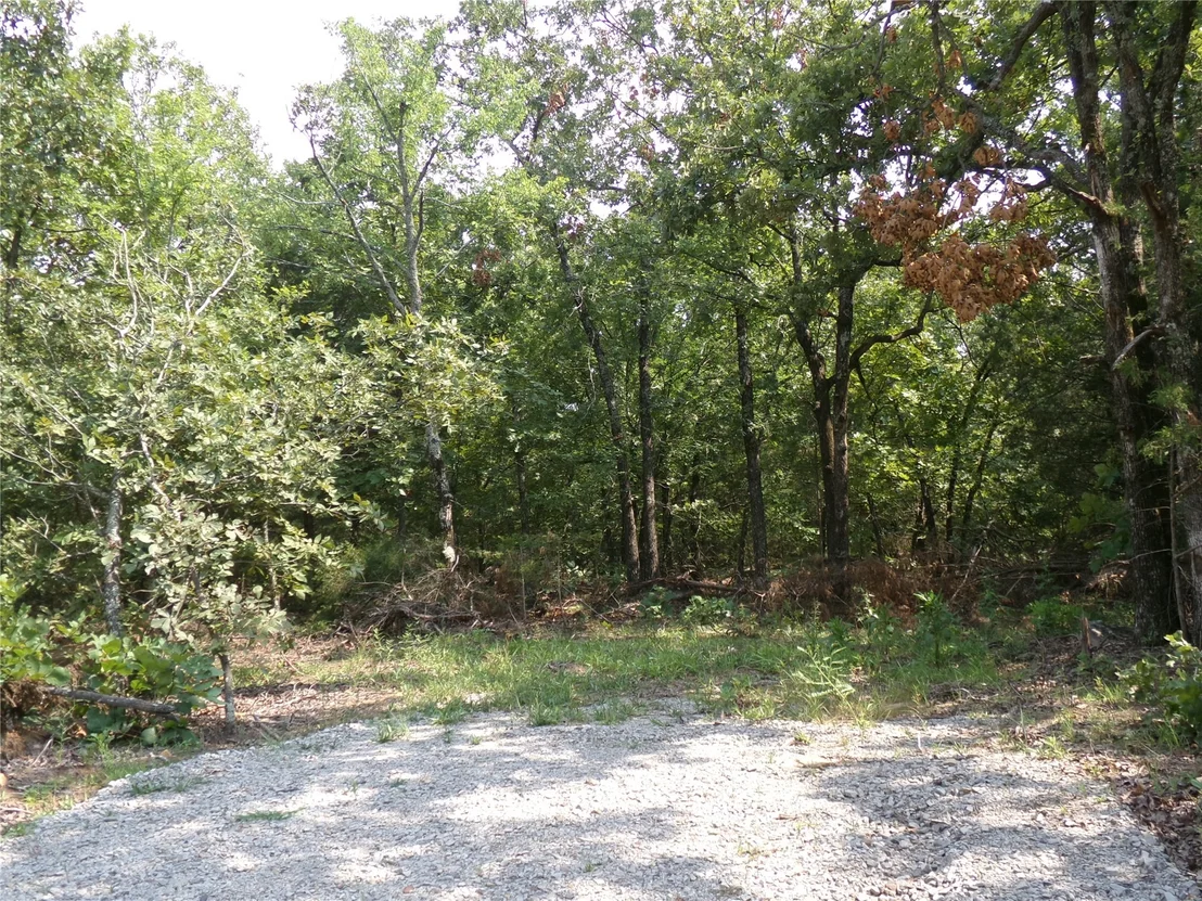 Photo of Bus Loop Road