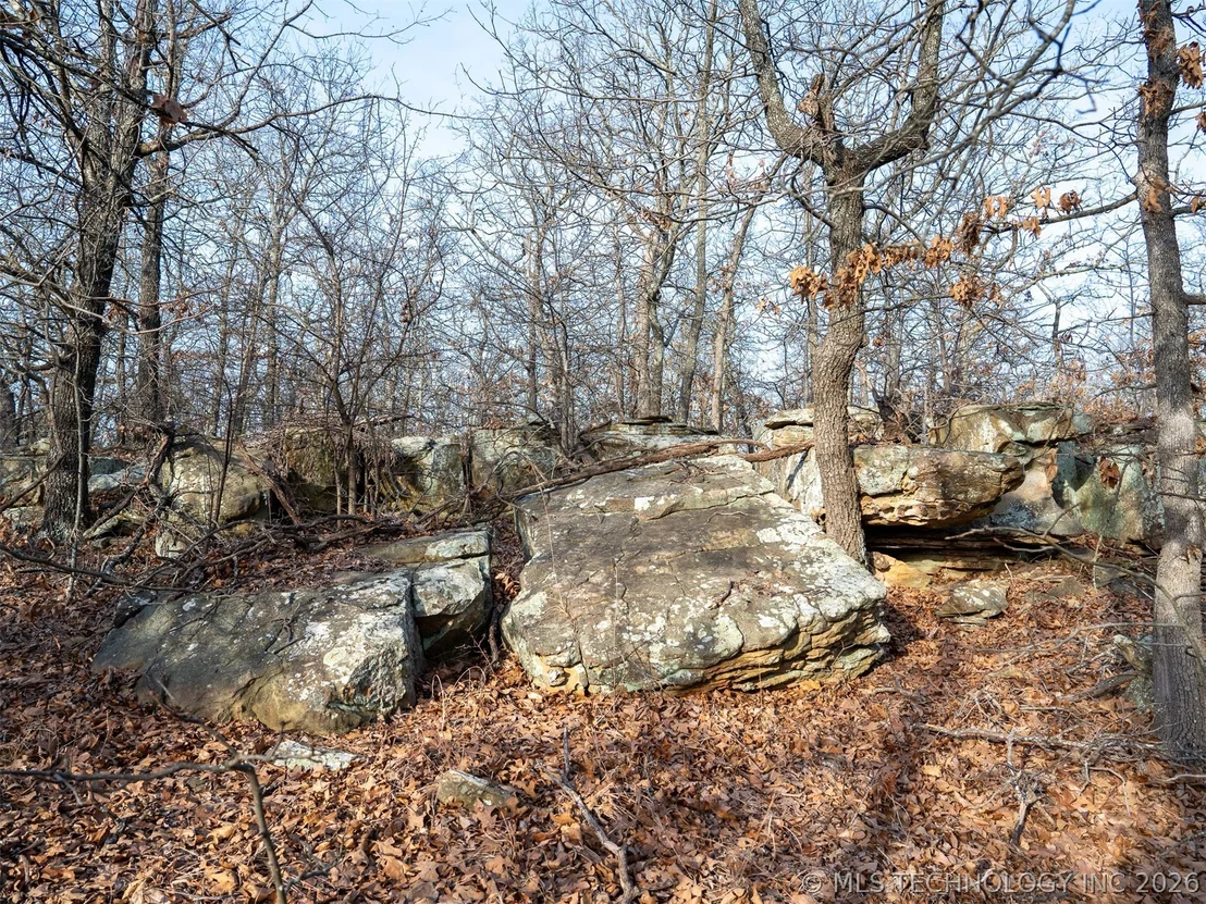 Photo of 235 County Road 2732