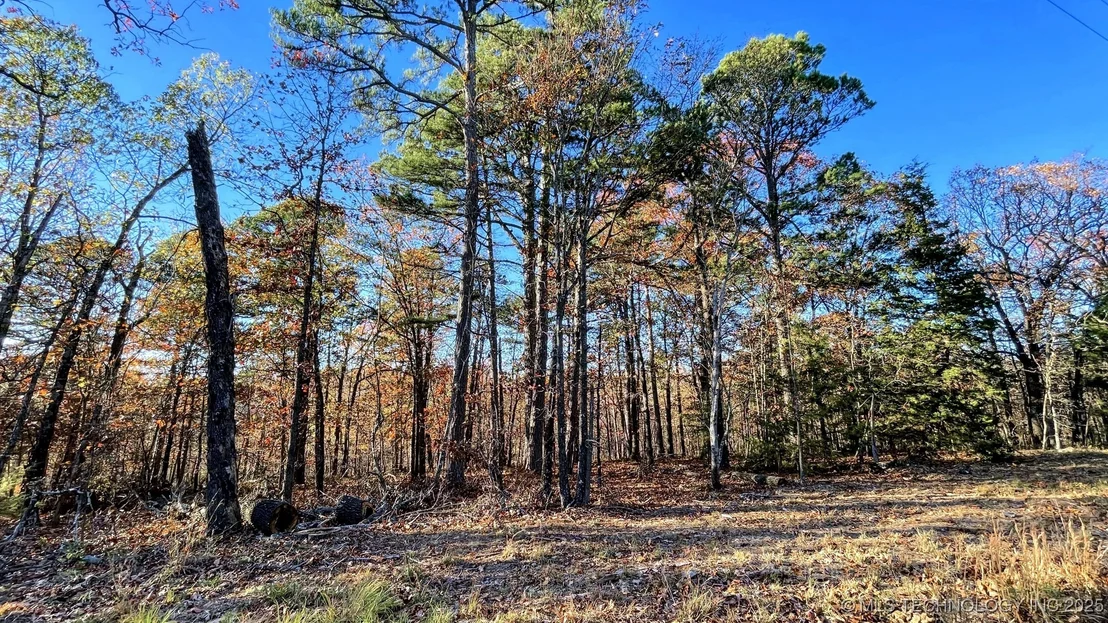 Photo of 14 Big Bear Road