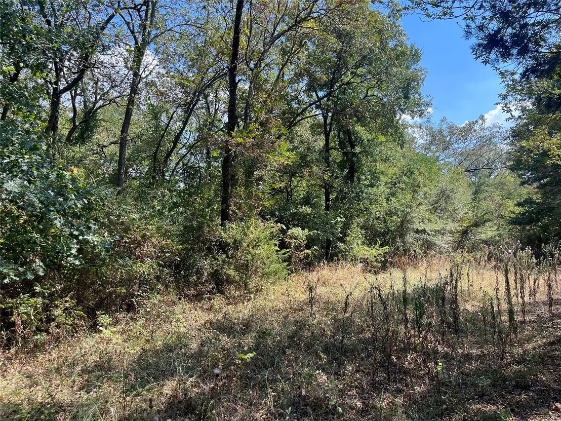 Photo of Kickapoo Avenue