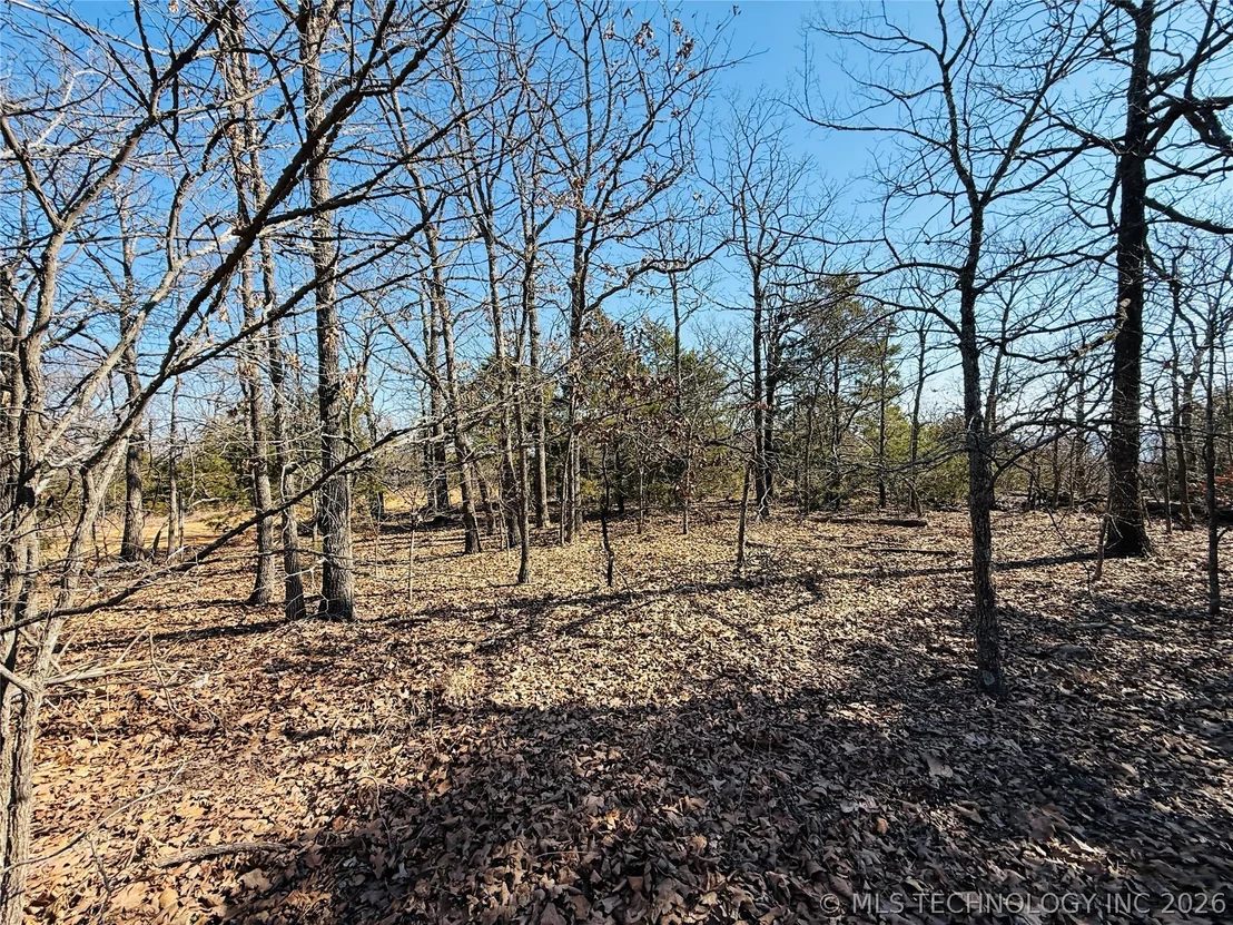 Photo of Mountain View