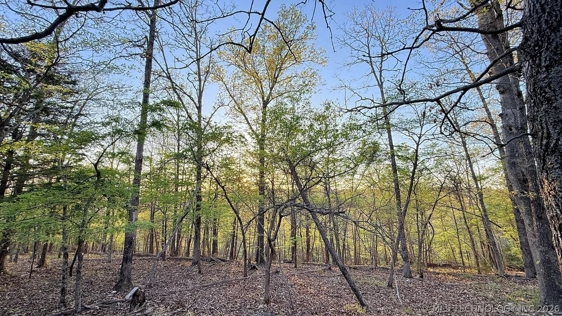 Photo of 2345 Overlook Drive