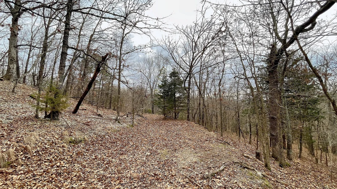Photo of 288 Crossroads Drive
