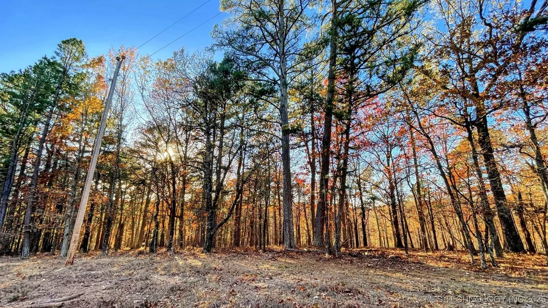 Photo of 14 Big Bear Road