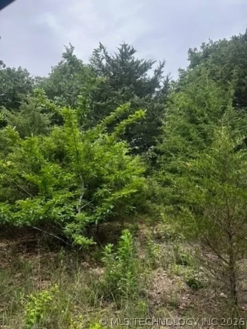 Photo of 958 S Buffalo Road
