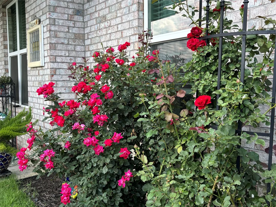 Photo of 131 Paralee Street