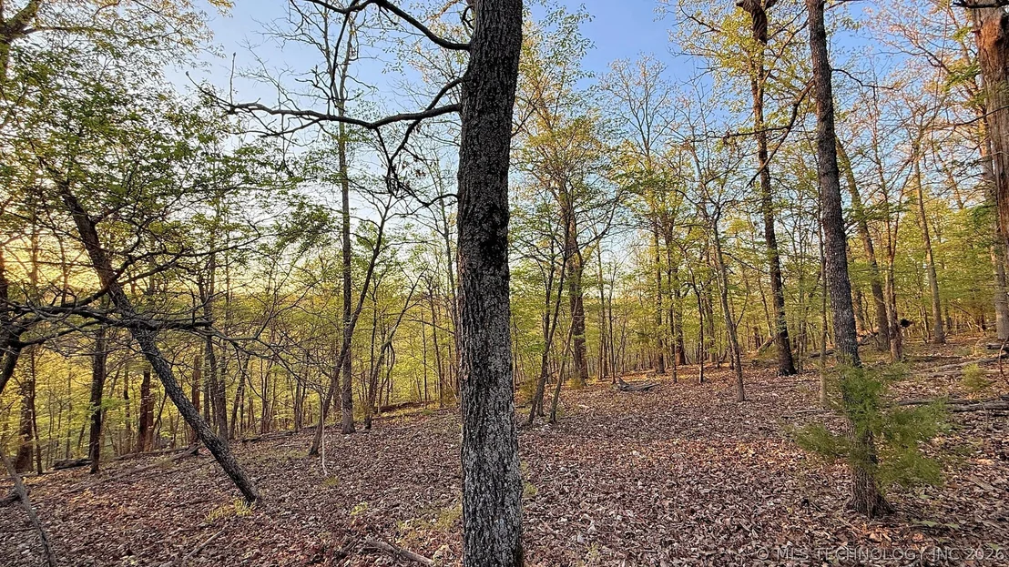 Photo of 2345 Overlook Drive