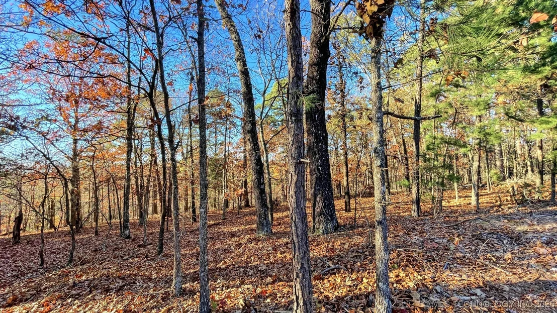 Photo of 14 Big Bear Road