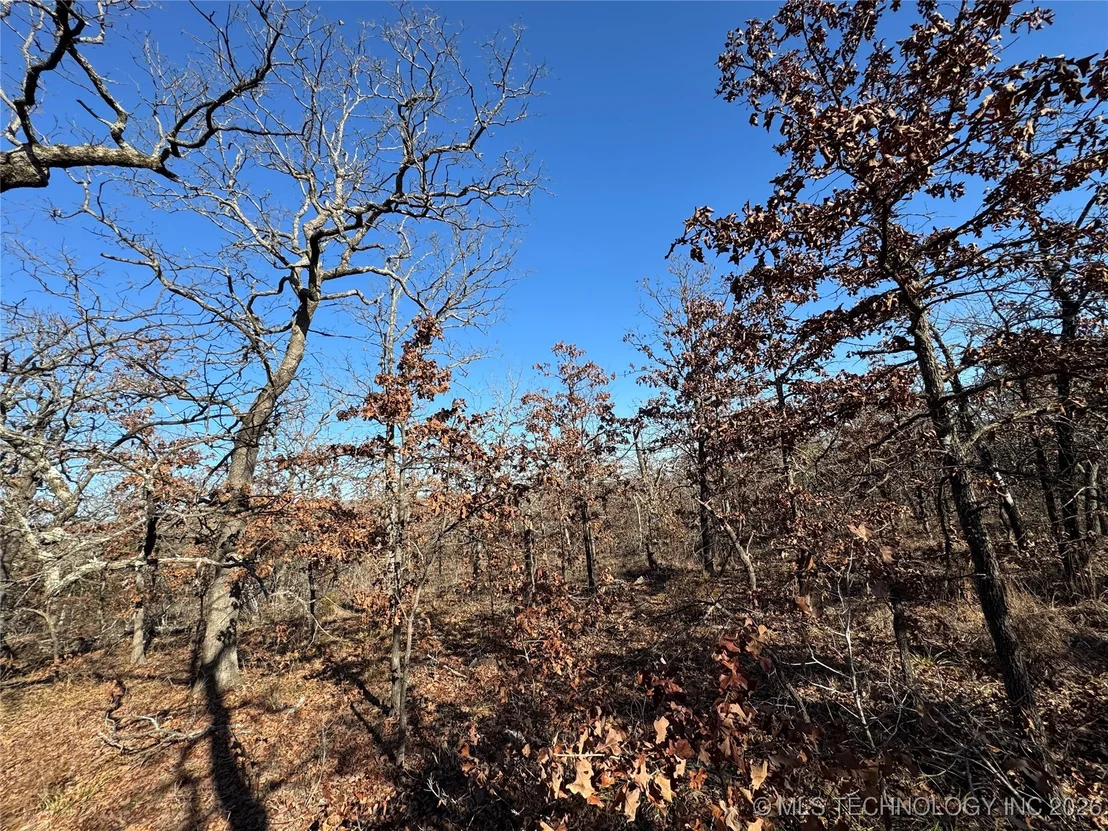 Photo of 2501 Lott Bottom
