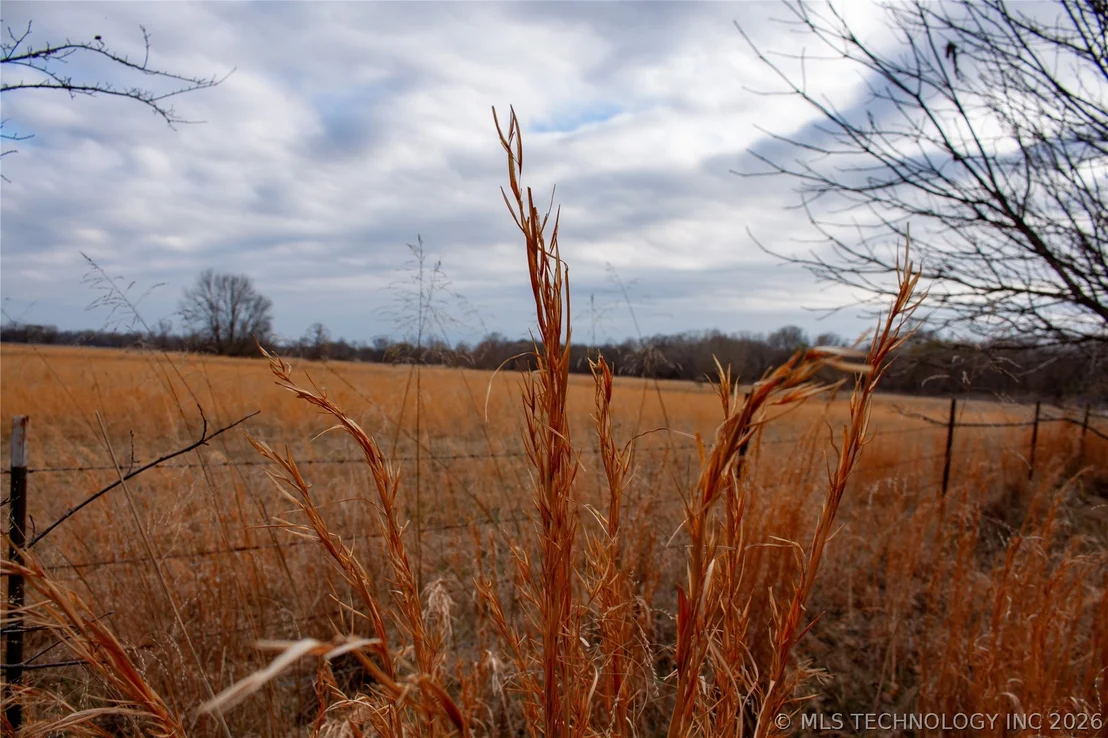 Photo of 28300 County Road 1590
