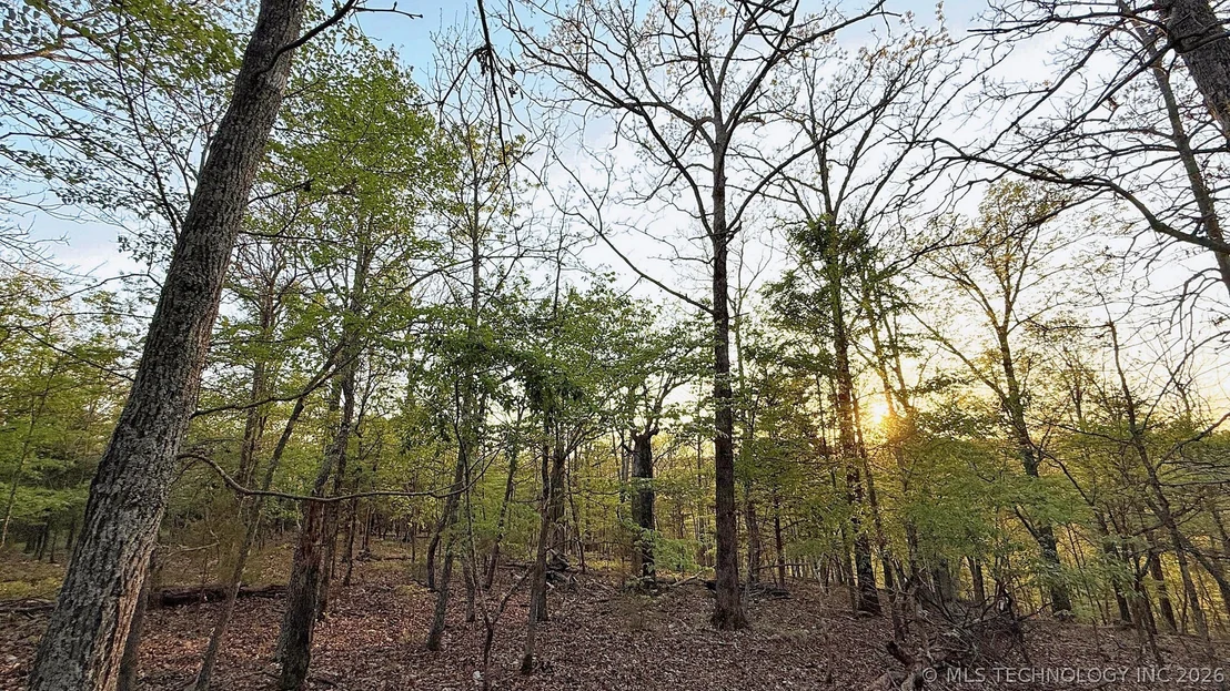 Photo of 2345 Overlook Drive