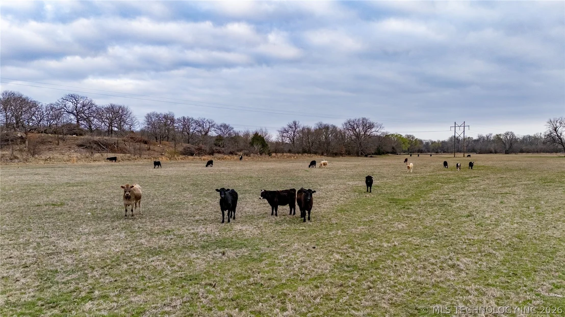 Photo of 28300 County Road 1590