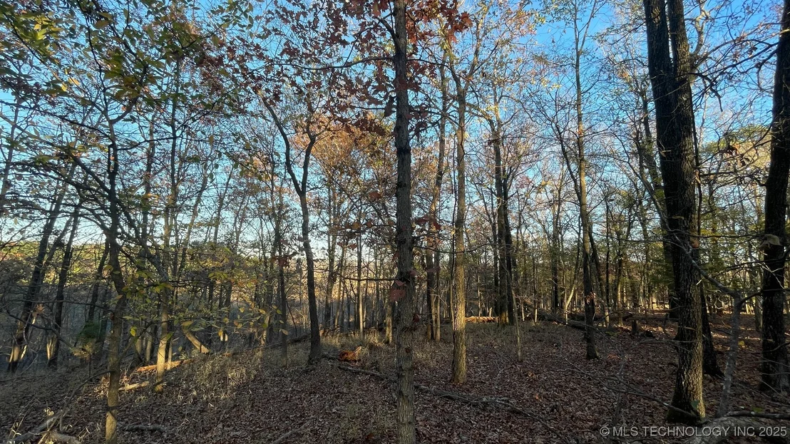 Photo of 1471 Birchbark Drive