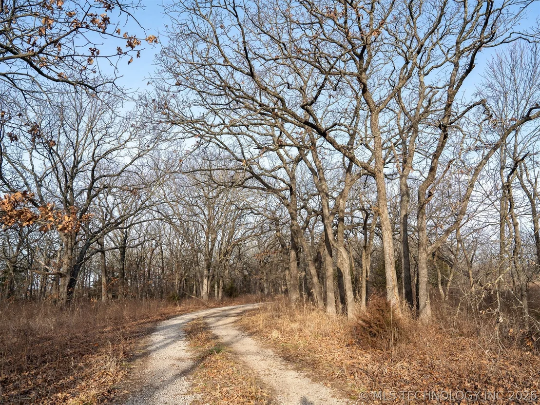 Photo of 235 County Road 2732