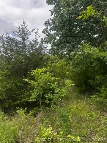Photo of 958 S Buffalo Road