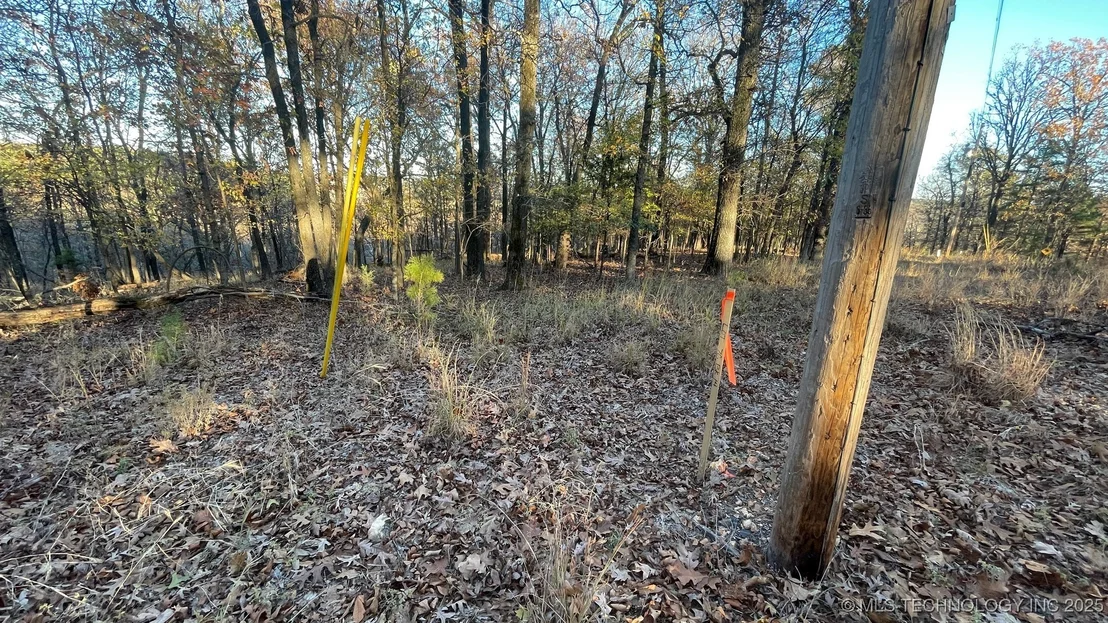 Photo of 1471 Birchbark Drive